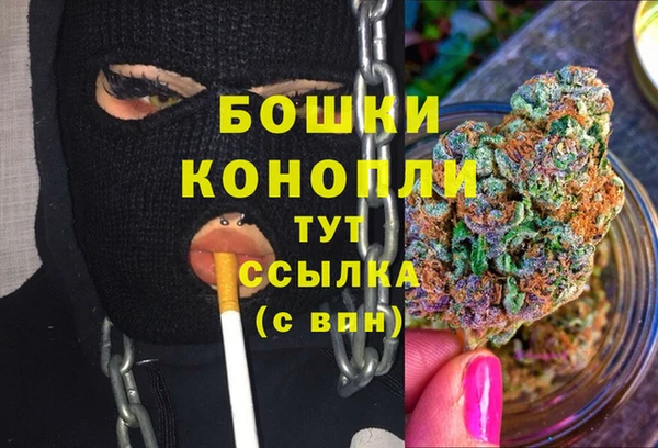 соль курить ск Новозыбков