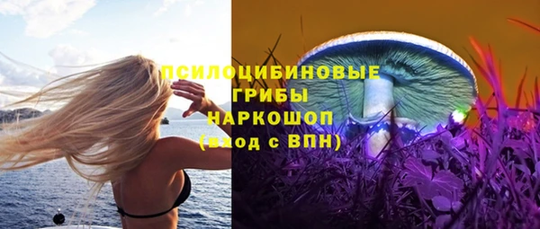 соль курить ск Новозыбков