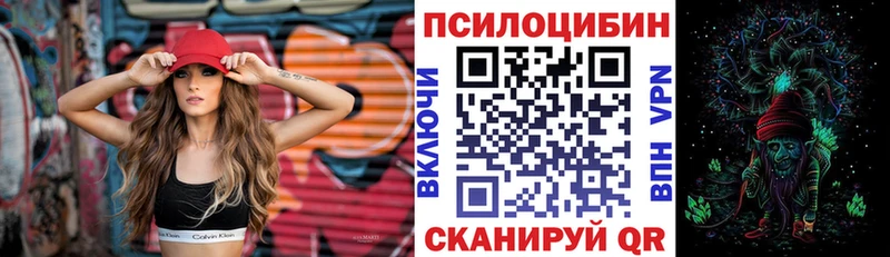 Псилоцибиновые грибы Psilocybe  купить закладку  Афипский 